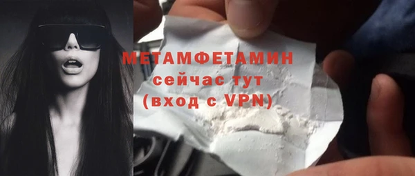 прущие грибы Вязьма