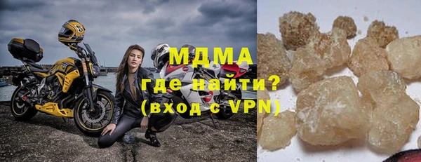 прущие грибы Вязьма