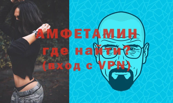 индика Володарск