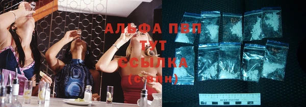 прущие грибы Вязьма