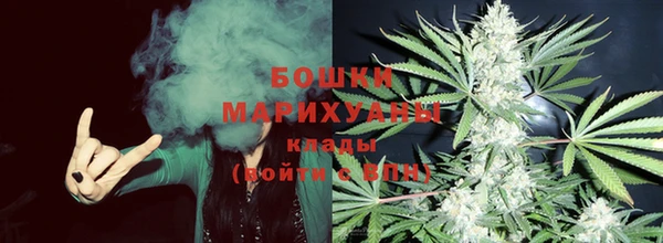 прущие грибы Вязьма