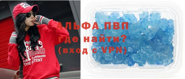 прущие грибы Вязьма