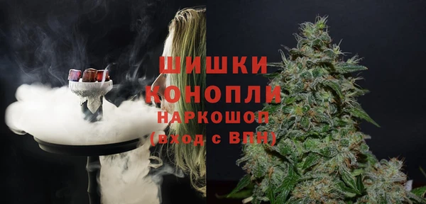 прущие грибы Вязьма
