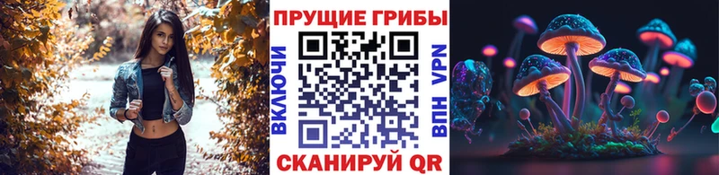 Псилоцибиновые грибы GOLDEN TEACHER  как найти закладки  Ивантеевка 